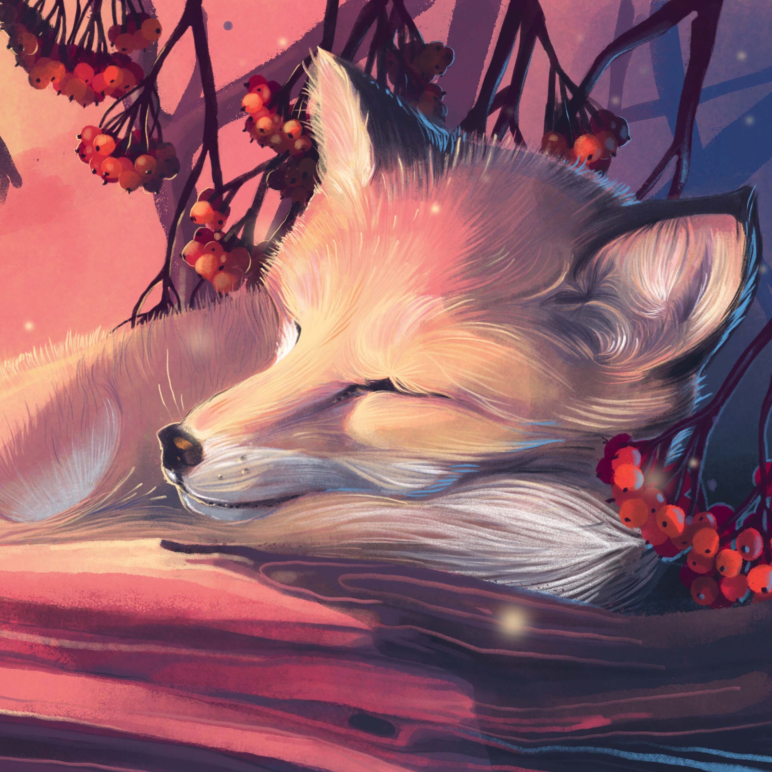 Napping Fox 