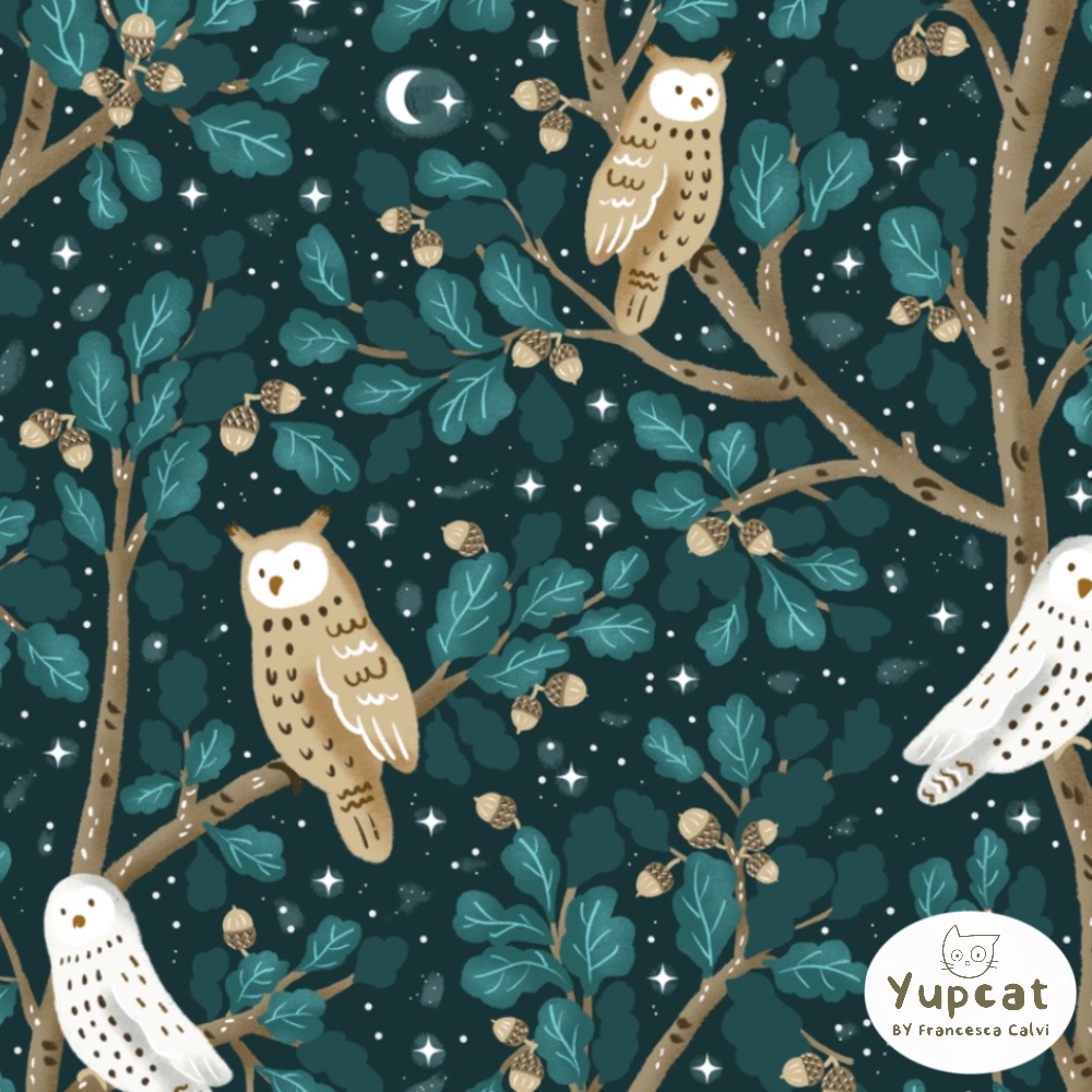 Owls and Moon in a Starry Night