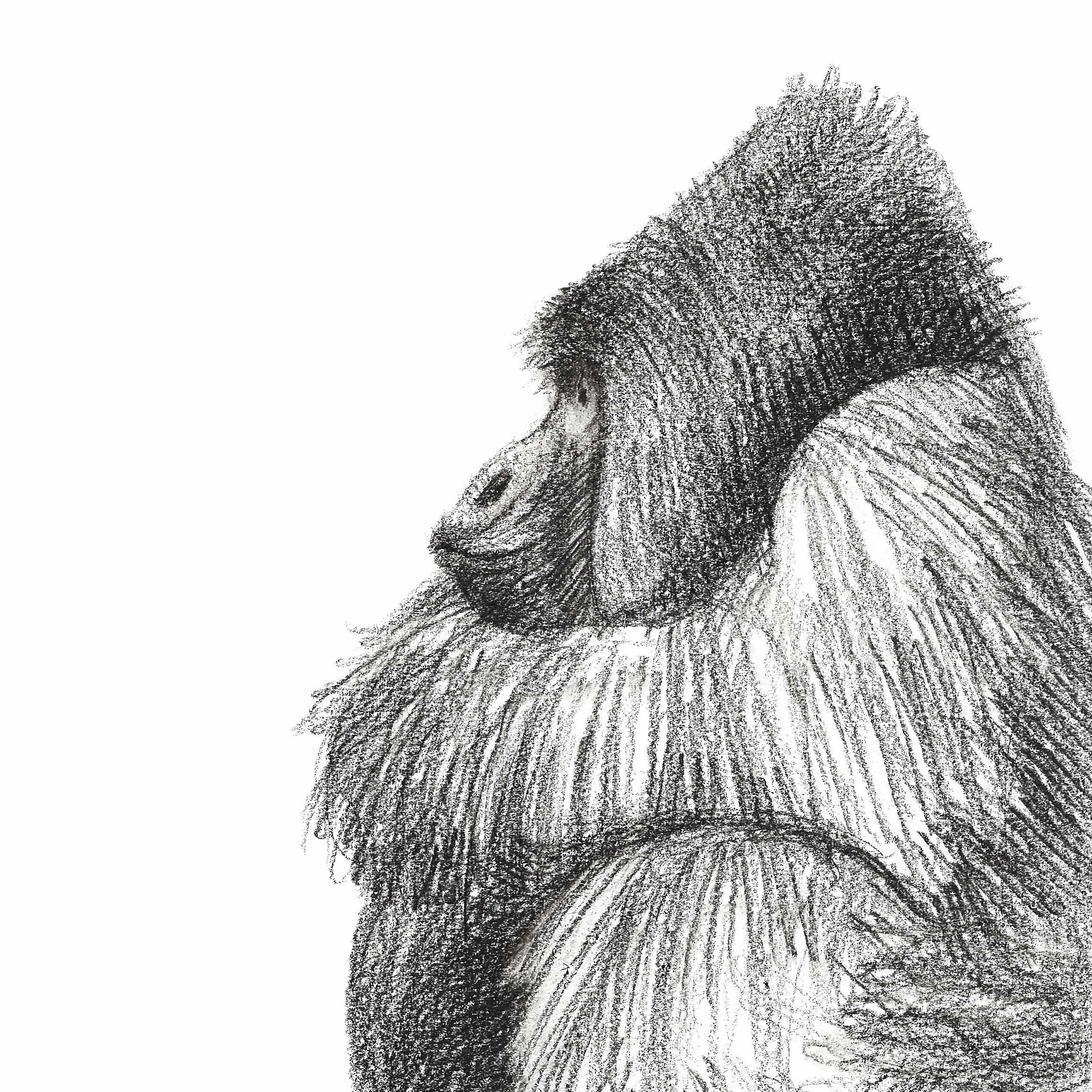Gorillone