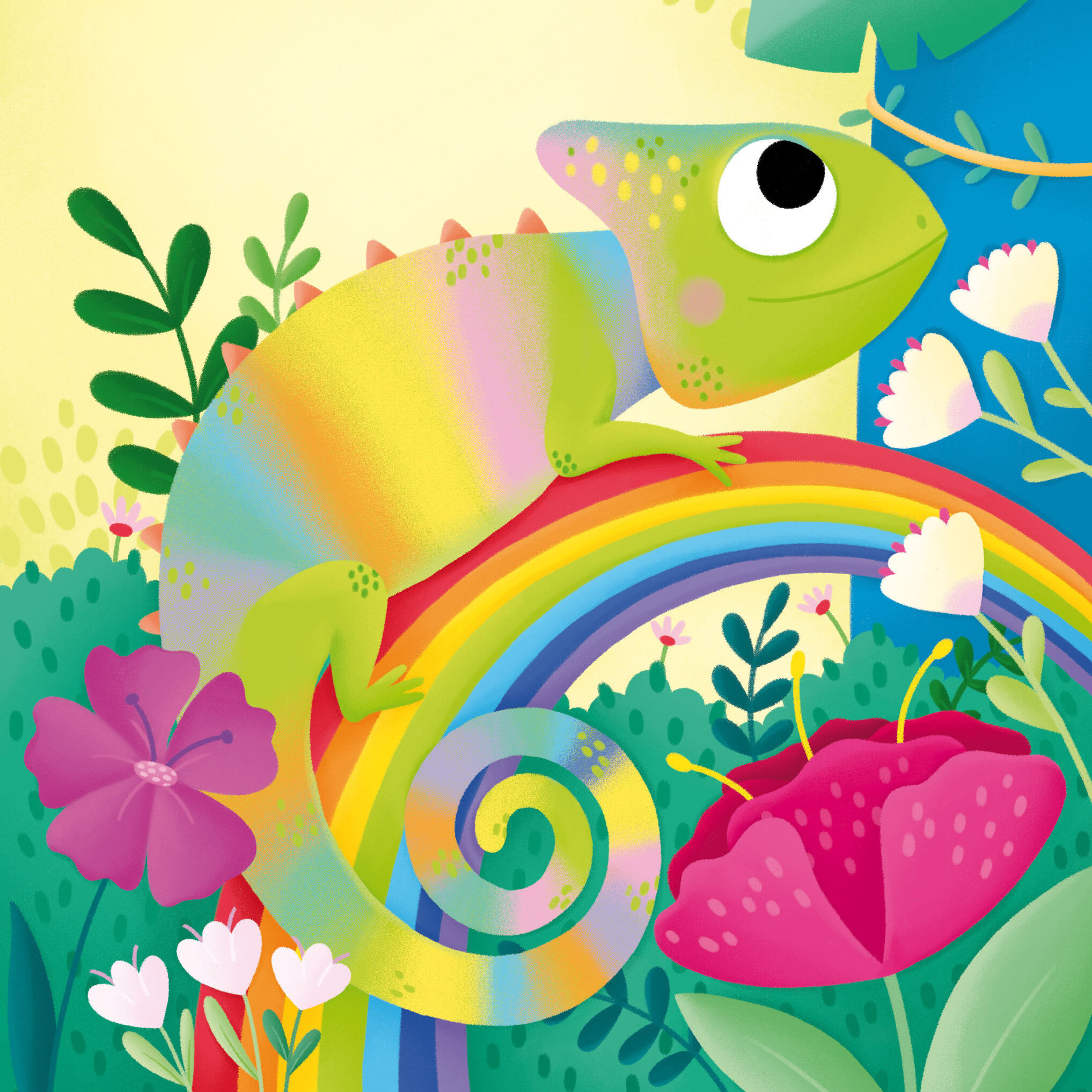 Suquins Book - Chameleon's Colors