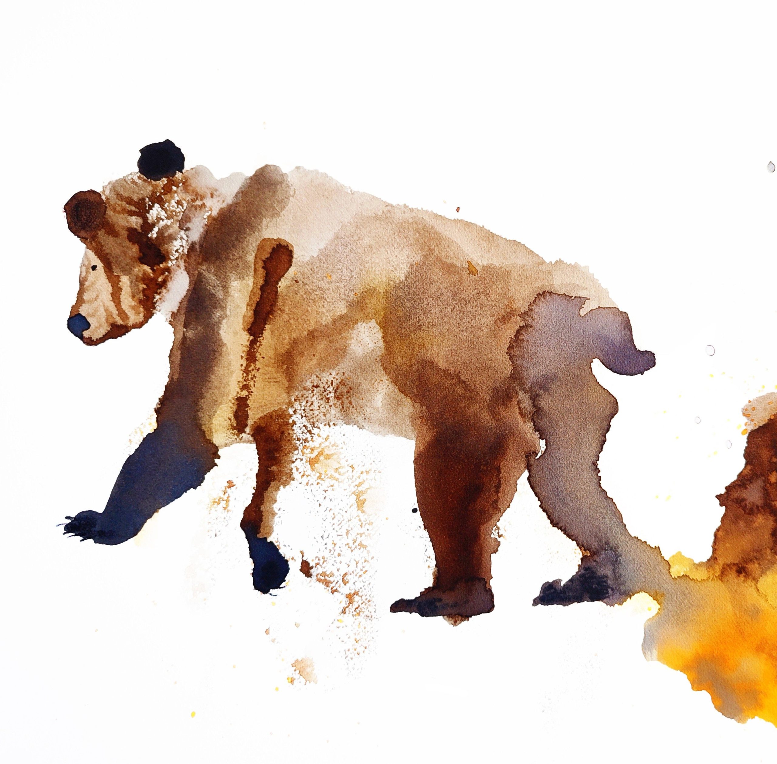 Orso