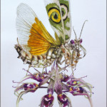 <b>A Mantis</b> di Ela Poss - matita e acquerello su carta ° inedita <a style="border-left: 5px solid #aa1c1e; padding: 0 2%;" href="http://www.instagram.com/creepylamia" target="_blank">@creepylamia</a> A Mantis