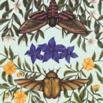 <b>Il Sole, la Luna, le Stelle </b> di Cinzia Santi - gouache, matite colorate, digitale ° </br>Illustrati, Logos Edizioni ° edita <a style="border-left: 5px solid #aa1c1e; padding: 0 2%;" href="http://www.polkadotsempire.com" target="_blank">www.polkadotsempire.com</a> Il Sole, la Luna, le Stelle