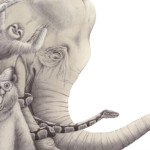 <b>La parata degli animali</b> di Andrea Oberosler - Penna bic e china - inedito <a style="border-left: 5px solid #aa1c1e; padding: 0 2%;" href="https://www.instagram.com/andrea_oberosler/" target="_blank">www.instagram.com/andrea_oberosler</a> La parata degli animali