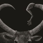 <b>La rana e il bove</b> da Favole di Jean de La Fontaine di Lia Mariani - scratchboard e ritocco digitale - inedito <a style="border-left: 5px solid #aa1c1e; padding: 0 2%;" href="https://www.instagram.com/morticino/" target="_blank">www.instagram.com/morticino</a> La rana e il bove