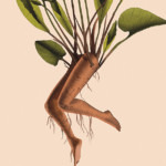 <b>Renascentia</b> di Alessandro Ventrella - digitale - inedito <a style="border-left: 5px solid #aa1c1e; padding: 0 2%;" href="https://www.instagram.com/alessandro.ventrella_/" target="_blank">www.instagram.com/alessandro.ventrella_</a> Renascentia