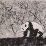 <b>Bamboo</b> da Zampa, zanna, artiglio di Giorgia Oldano - monotipo su carta giapponese di kozo - inedito <a style="border-left: 5px solid #aa1c1e; padding: 0 2%;" href="https://www.giorgiaoldano.com" target="_blank">www.giorgiaoldano.com</a> Bamboo